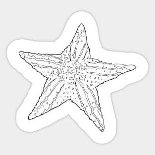 Big ole' Starfish Sticker